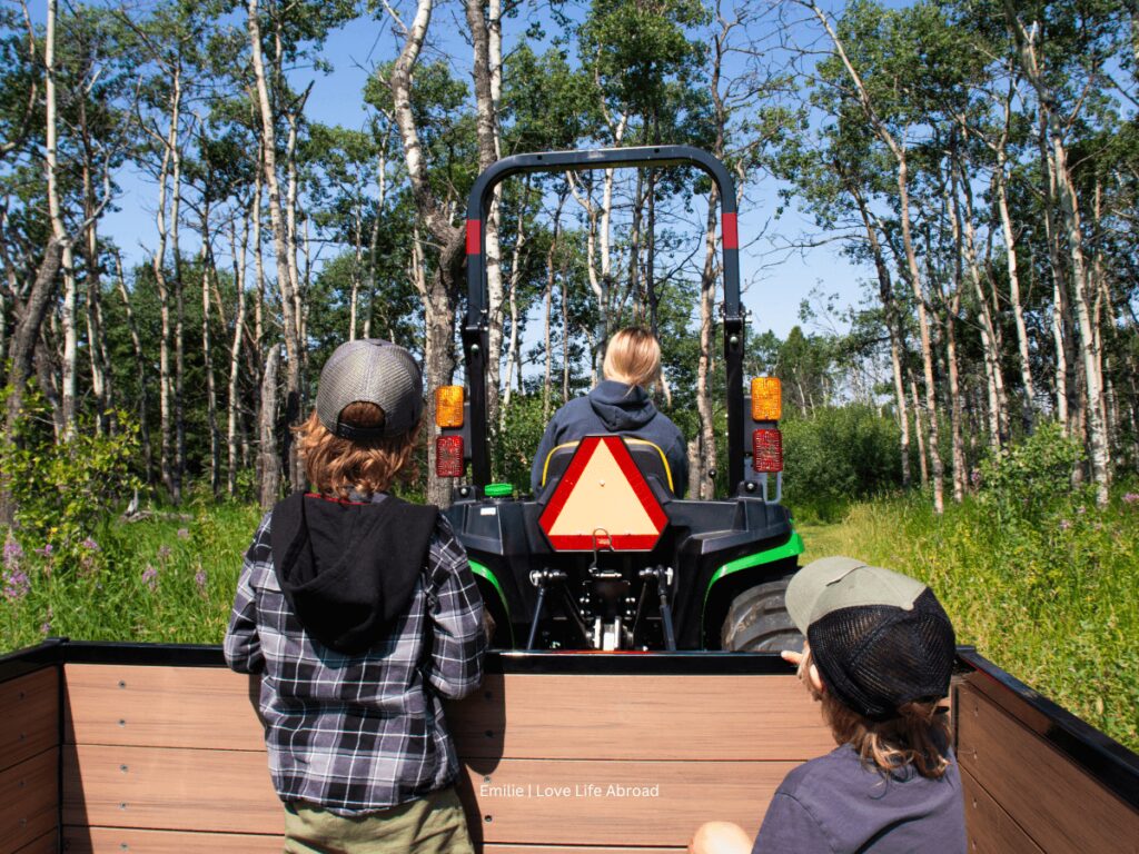 Wagon ride tour in Cypress Hills 