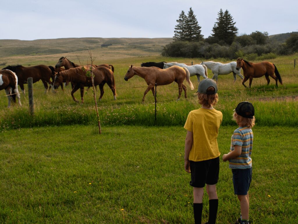 kids watching the horses coming down the hill